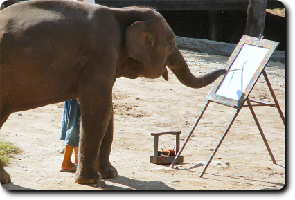Art by Elephants: Ruby the elephant Artist Painting in Phoenix Zoo